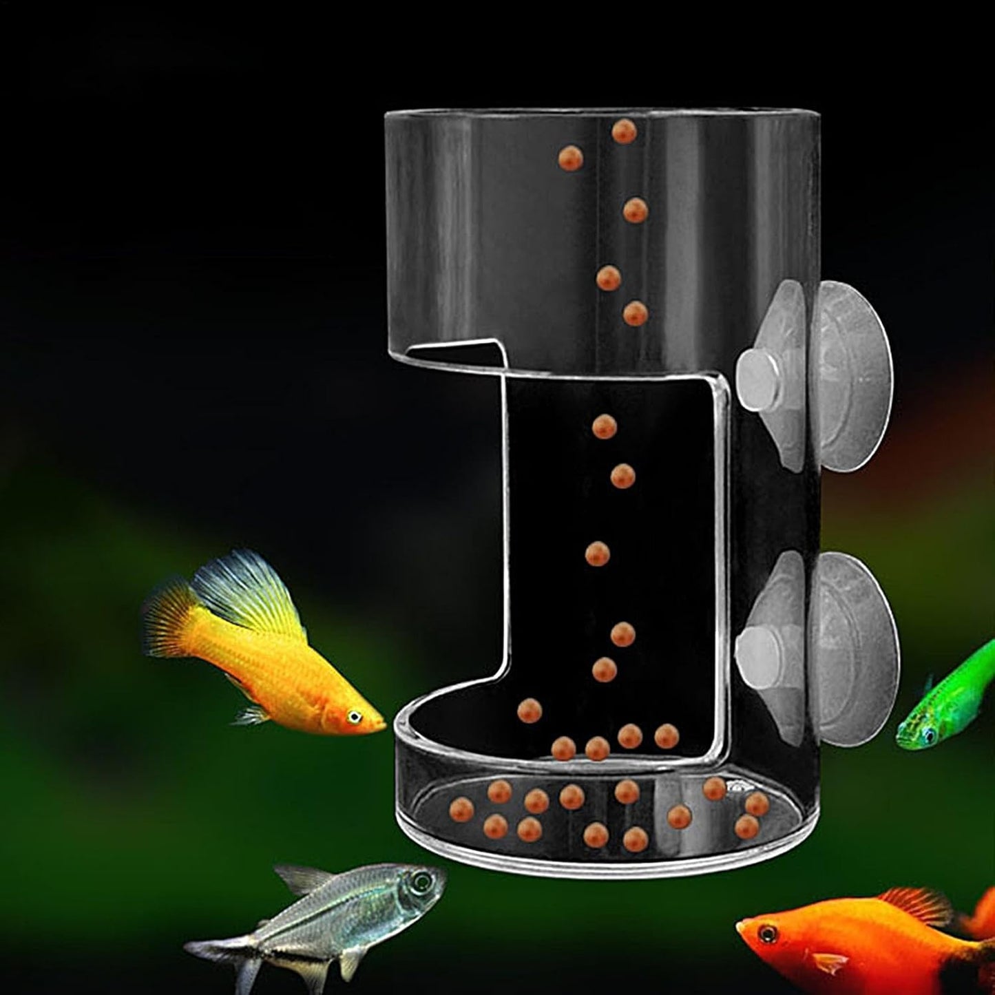 Aquarium Fish Feeder Dispenserš„No Mess Aquarium Feederš„