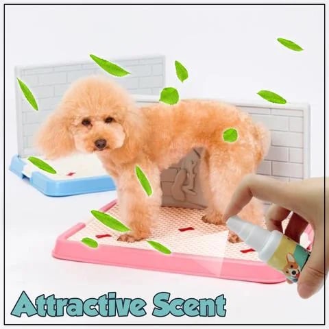 Natural Potty Training Spary for Dog & Cat (Buy 1 Get 1 Free 😍) 30ml each