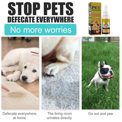 Natural Potty Training Spary for Dog & Cat (Buy 1 Get 1 Free 😍) 30ml each